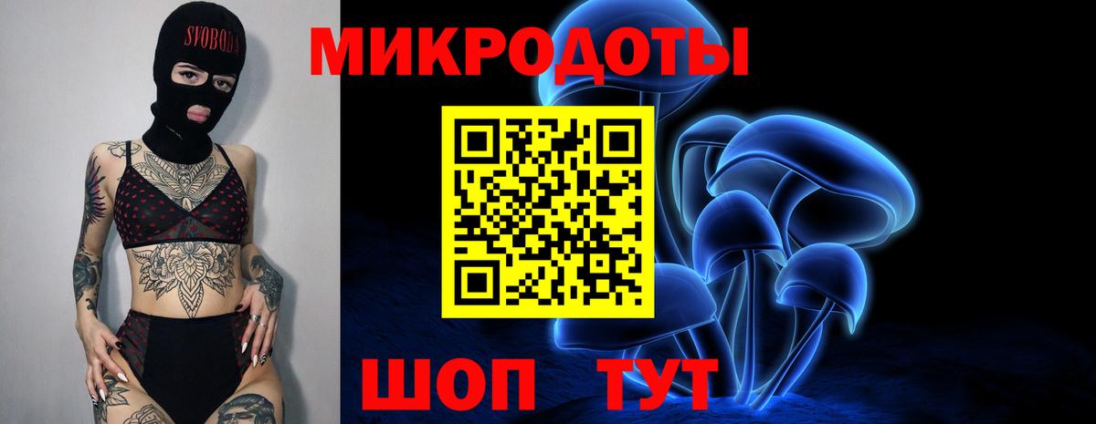 Псилоцибиновые грибы Psilocybine cubensis Богданович